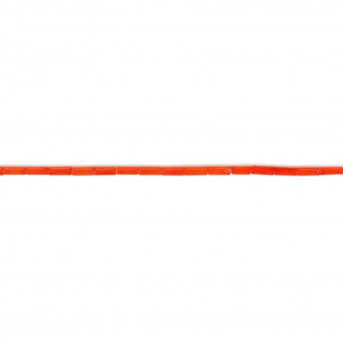 Bambu do mar, tubo vermelho, 2x6mm x 40cm