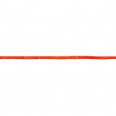Bambou de mer, teinte rouge tube, 2x6mm x 40cm