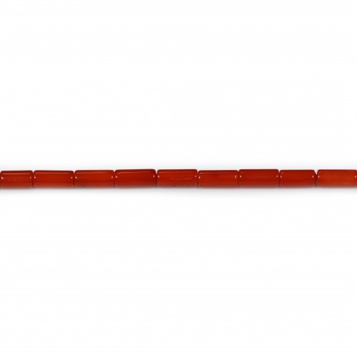 Bambou de mer teinte rouge tube 3*7mm x40 cm