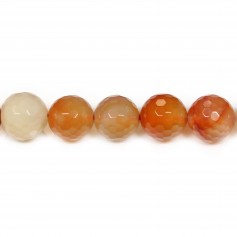 Round Faceted Carnelian 12mm x 40cm