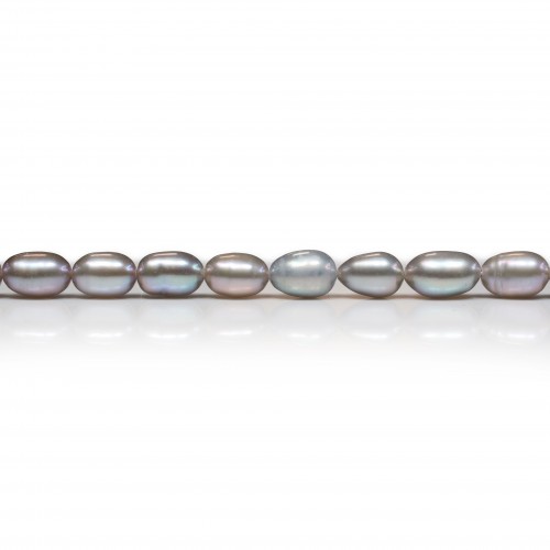 Perles de culture d'eau douce, gris, olive, 6-6.5mm x 39cm