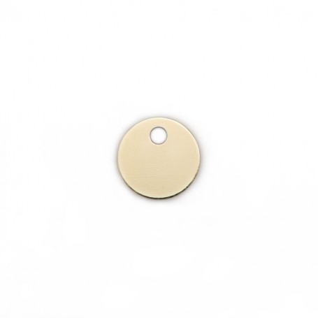 Round charm, to engrave in gold filled 6mm x 2pcs