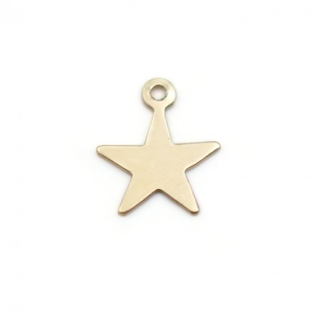Charm awards a medal to star to engrave in gold-filled 8mm x 2pcs