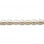 White oval freshwater pearls 7-8mm x 40cm