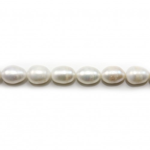 White freshwater pearl oval 11-12*14-16mm x 40cm