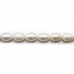 White Freshwater cultured Pearl, olive shape 10-11mm x 37cm