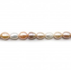 Perle coltivate d'acqua dolce, multicolore, oliva, 10-11 mm x 40 cm