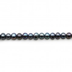 Perle coltivate d'acqua dolce, blu scuro, ovali, 6-7 mm x 37 cm
