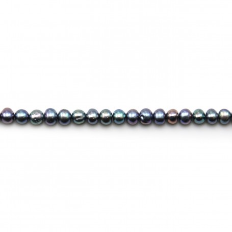 Perles de culture d'eau douce, bleu violacé, semi-ronde, 4.5-5.5mm x 10pcs