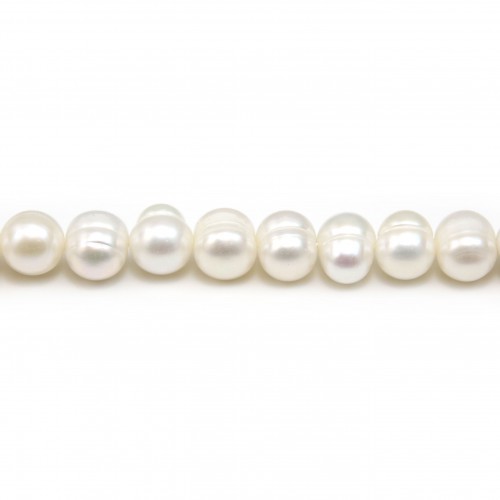 Perle coltivate d'acqua dolce, bianche, ovali/irregolari, 7-8 mm x 36 cm