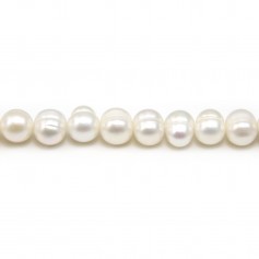 Perles de culture d'eau douce, blanche, ovale/irrégulière, 7-8mm x 36cm