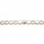 Silvery white flat round freshwater pearls 11mm x 2pcs