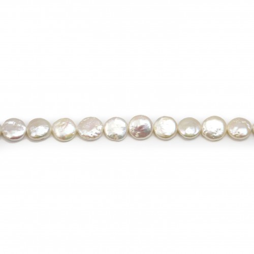 Perles de culture d'eau douce, blanche , ronde plate, 11mm x 40cm
