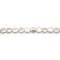 Perles de culture d'eau douce, blanche, ronde plate, 10mm x "çcm