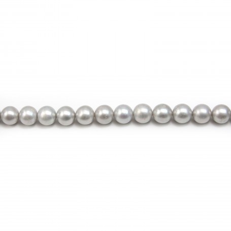 Perles d'eau douce rondes grises 10mm x 1pc