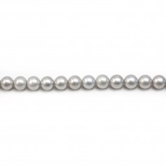 Perles de culture d'eau douce, gris, ronde, 10mm x 1pc