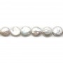 Freshwater cultured pearls, white, flat round, 12-13mm x 38cm