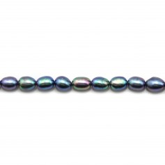 Freshwater cultured pearls colored blue, in oval shaped, 5 - 6mm x 10pcs