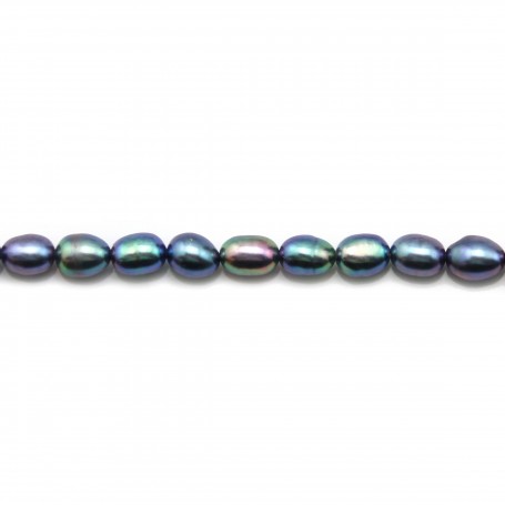 Perles de culture d'eau douce, bleue foncée, olive, 5-6mm x 40cm