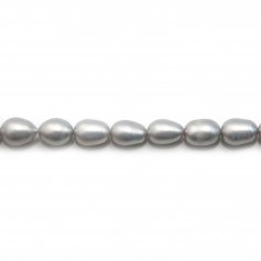 Perles de culture d'eau douce, gris, olive, 6.5-7.5mm x 38cm