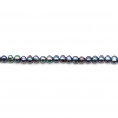 Perles de culture d'eau douce, bleu foncé, ovale, 4-5mm x 4pcs