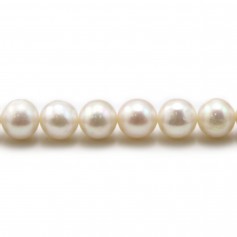 Perles de culture d'eau douce, blanche, ronde, 8mm x 40cm