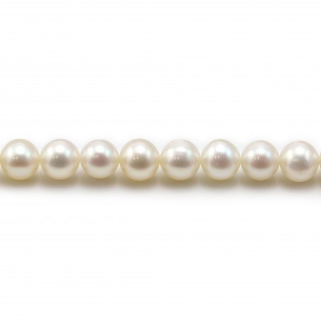 White round freshwater pearls on thread 6mm x 40cm