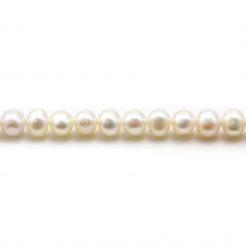 Perles de culture d'eau douce, blanche, semi-ronde, 5.5-6.5mm x 6pcs
