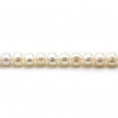 Perle coltivate d'acqua dolce, bianche, semitonde, 5,5-6,5 mm x 2 pezzi