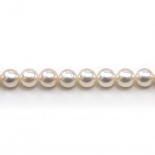 White japonais AKOYA pearl culture round 6.5-7mm x 40cm