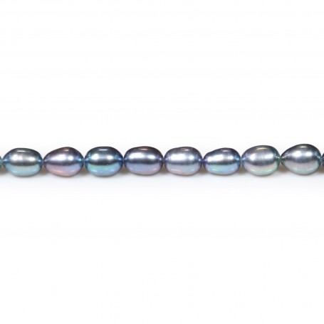 Perles de culture d'eau douce, bleu violacé, olive, 6mm x 40 cm