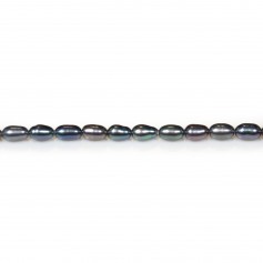 Perlas cultivadas de agua dulce, azul oscuro, oliva, 3-4mm x 36cm