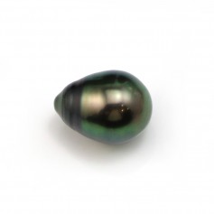 Perle de culture de Tahiti, semi-percée, goutte, 12-13mm x 1pc
