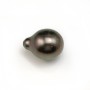 Tahitian pearl half round 12-13mm x 1pc