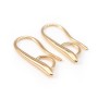Hook earrings by "flash" Gold on brass 2.5x13mm x 2pcs