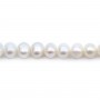 Perles de culture d'eau douce blanche ovale 6-7mm x 40cm