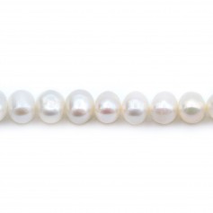 Perles de culture d'eau douce, blanche, ovale, 6-6.5mm x 40cm