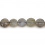 Labradorite grey, in a round flat faceted shape, 6mm x 39cm