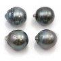 Tahitian cultured pearl oval 14-15mm x 4pcs