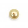 South Sea pearl, half-drilled, champagne, round, 9-10mm