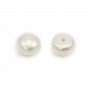 Perles de culture d'eau douce, semi-percée, blanche, bouton, 9-9.5mm x 2pcs