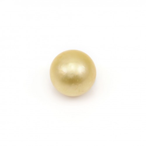 Perla dei Mari del Sud, champagne, rotonda, 9-9,5 mm x 1 pz