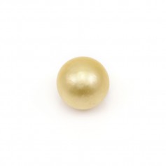 Perla dei Mari del Sud, champagne, rotonda, 9-9,5 mm x 1 pz
