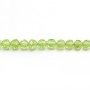 Peridot Round faceted 3mm x 37cm