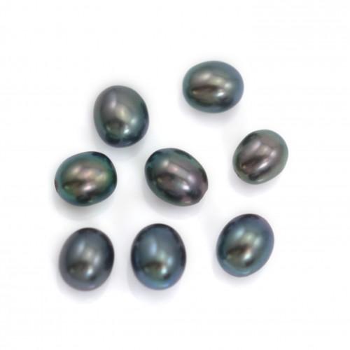Freshwater cultured pearls, semi-perforated, dark blue, oval, 4-4.5mm x 2pcs