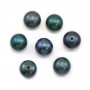 Perle de culture d'eau douce half-percée, bouton, bleue foncée, 7-7.5mm x 1pc
