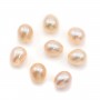Perles de culture d'eau douce, semi-percée, saumon, ovale, 5-5.5mm x 2pcs