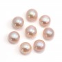 Perles de culture d'eau douce, semi-percée, mauve, bouton, 7-7.5mm x 2pcs