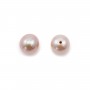 Perles de culture d'eau douce, semi-percée, mauve, ronde, 5.5-6mm x 2pcs