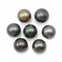 Tahitian cultured pearl, round, 12-13mm, D x 1pc